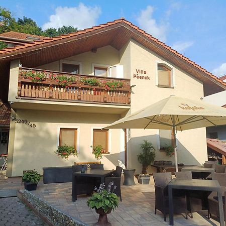 Villa Psenek Banka Esterno foto