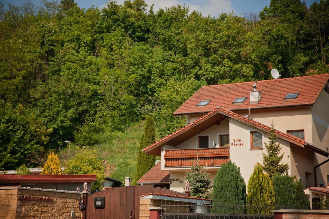 Villa Psenek Banka Esterno foto