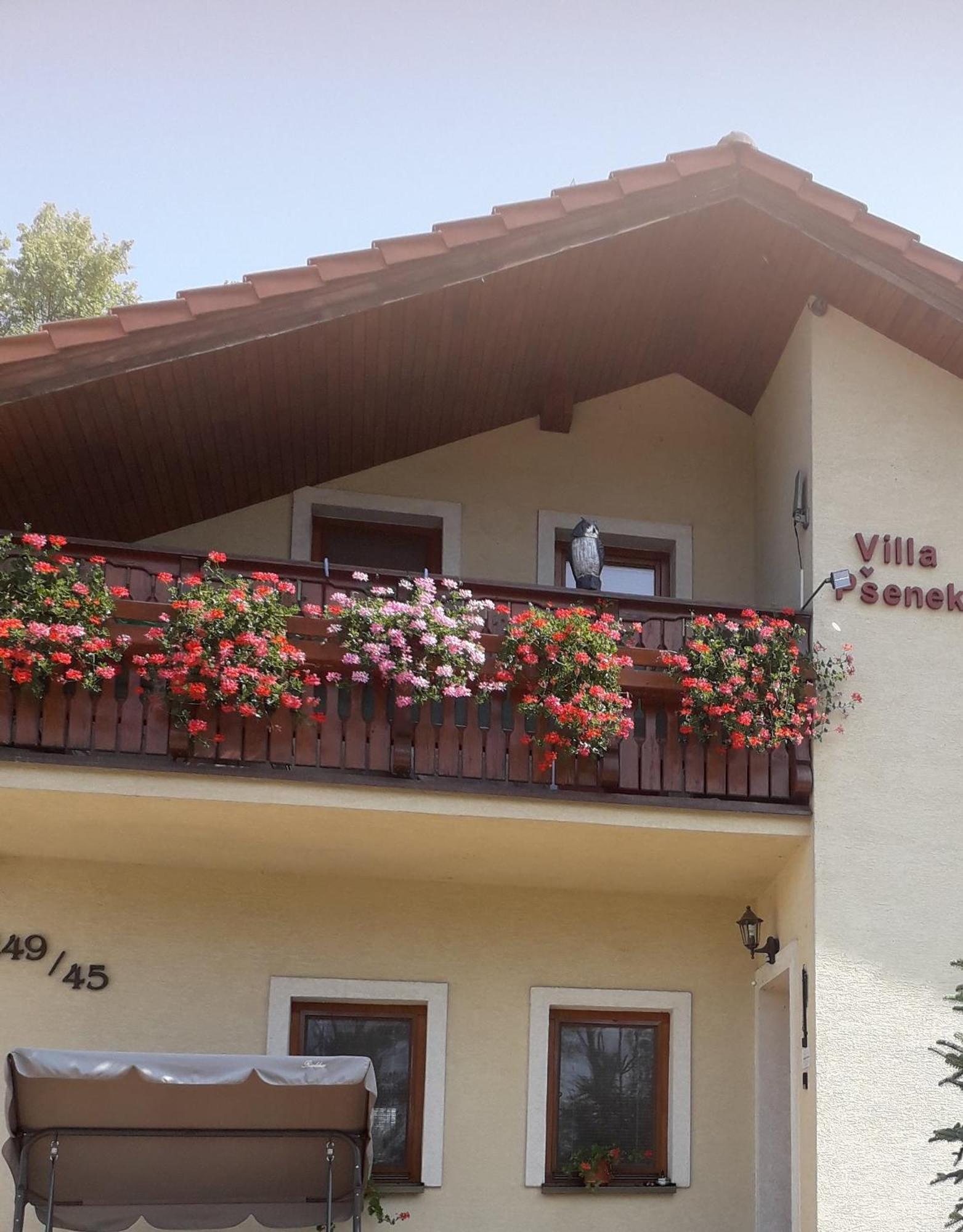 Villa Psenek Banka Esterno foto